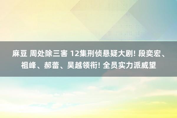 麻豆 周处除三害 12集刑侦悬疑大剧! 段奕宏、祖峰、郝蕾、吴越领衔! 全员实力派威望