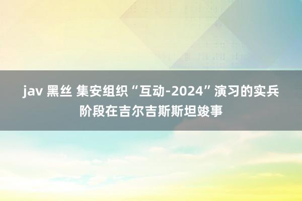 jav 黑丝 集安组织“互动-2024”演习的实兵阶段在吉尔吉斯斯坦竣事