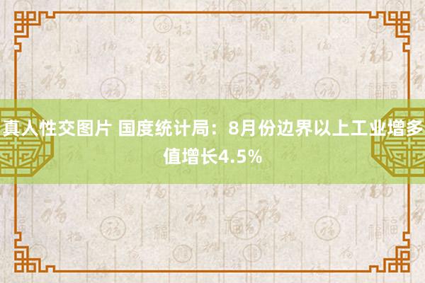 真人性交图片 国度统计局：8月份边界以上工业增多值增长4.5%