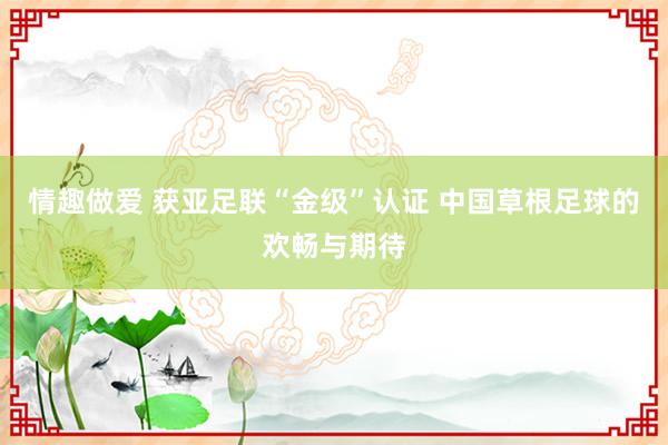 情趣做爱 获亚足联“金级”认证 中国草根足球的欢畅与期待