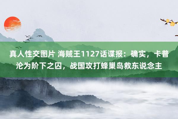 真人性交图片 海贼王1127话谍报：确实，卡普沦为阶下之囚，战国攻打蜂巢岛救东说念主