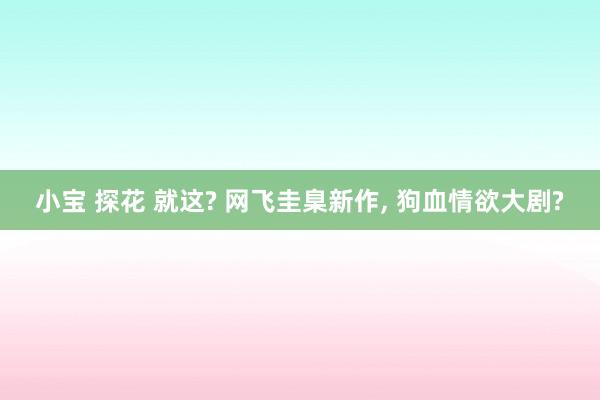 小宝 探花 就这? 网飞圭臬新作， 狗血情欲大剧?