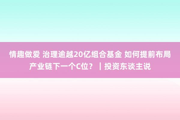 情趣做爱 治理逾越20亿组合基金 如何提前布局产业链下一个C位？｜投资东谈主说