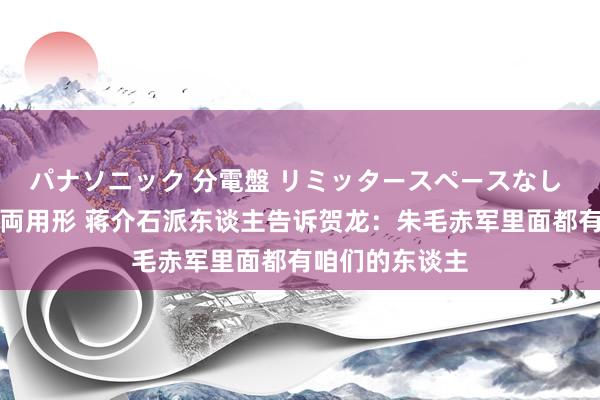 パナソニック 分電盤 リミッタースペースなし 露出・半埋込両用形 蒋介石派东谈主告诉贺龙：朱毛赤军里面都有咱们的东谈主