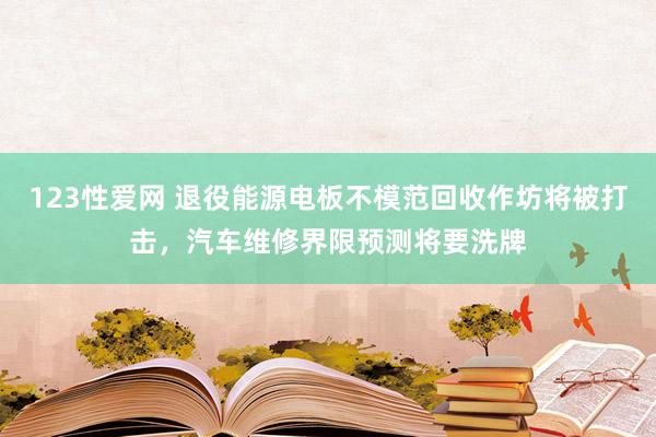 123性爱网 退役能源电板不模范回收作坊将被打击，汽车维修界限预测将要洗牌