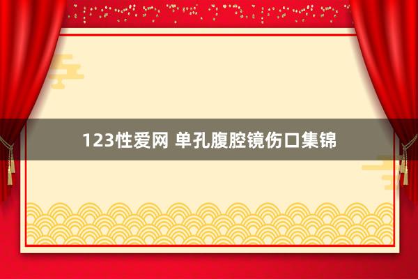 123性爱网 单孔腹腔镜伤口集锦