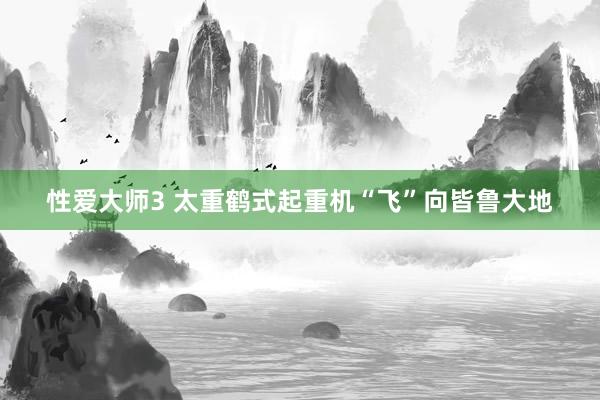 性爱大师3 太重鹤式起重机“飞”向皆鲁大地