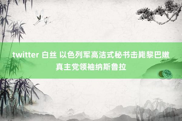 twitter 白丝 以色列军高洁式秘书击毙黎巴嫩真主党领袖纳斯鲁拉