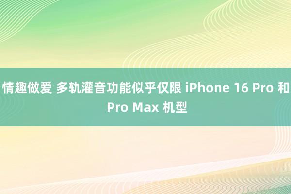 情趣做爱 多轨灌音功能似乎仅限 iPhone 16 Pro 和 Pro Max 机型