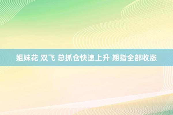 姐妹花 双飞 总抓仓快速上升 期指全部收涨