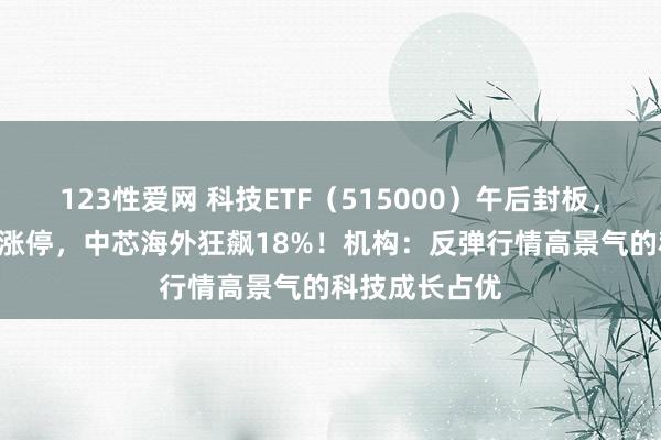 123性爱网 科技ETF（515000）午后封板，同花顺20CM涨停，中芯海外狂飙18%！机构：反弹行情高景气的科技成长占优