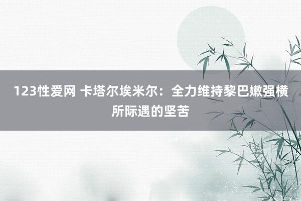 123性爱网 卡塔尔埃米尔：全力维持黎巴嫩强横所际遇的坚苦