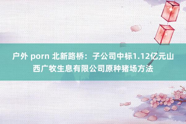 户外 porn 北新路桥：子公司中标1.12亿元山西广牧生息有限公司原种猪场方法