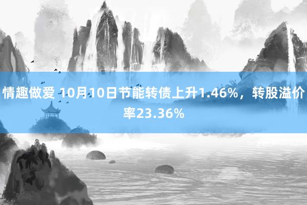 情趣做爱 10月10日节能转债上升1.46%，转股溢价率23.36%