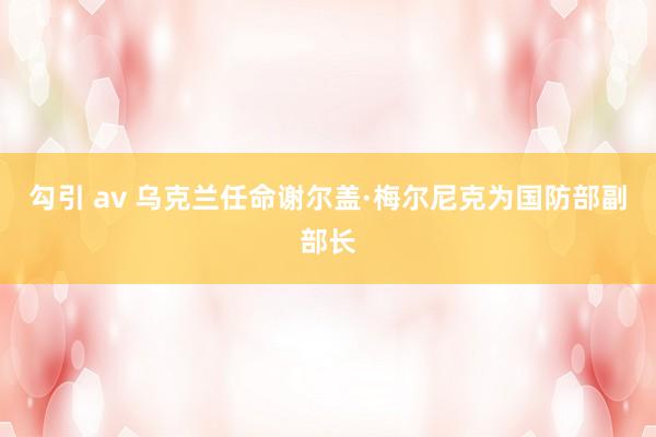 勾引 av 乌克兰任命谢尔盖·梅尔尼克为国防部副部长