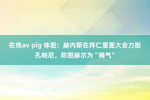 在线av pig 体图：赫内斯在拜仁里面大会力挺孔帕尼，称图赫尔为“晦气”