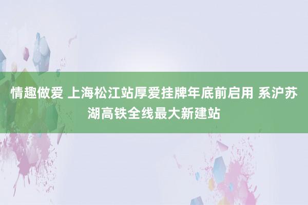 情趣做爱 上海松江站厚爱挂牌年底前启用 系沪苏湖高铁全线最大新建站