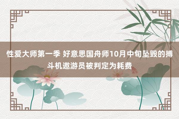 性爱大师第一季 好意思国舟师10月中旬坠毁的搏斗机遨游员被判定为耗费