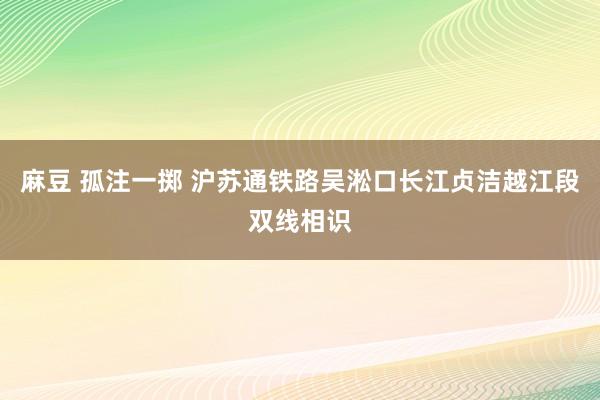 麻豆 孤注一掷 沪苏通铁路吴淞口长江贞洁越江段双线相识