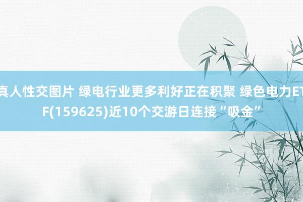 真人性交图片 绿电行业更多利好正在积聚 绿色电力ETF(159625)近10个交游日连接“吸金”