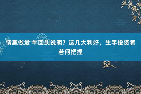 情趣做爱 牛回头说明？这几大利好，生手投资者若何把捏