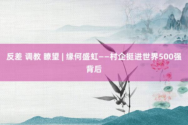 反差 调教 瞭望 | 缘何盛虹——村企挺进世界500强背后