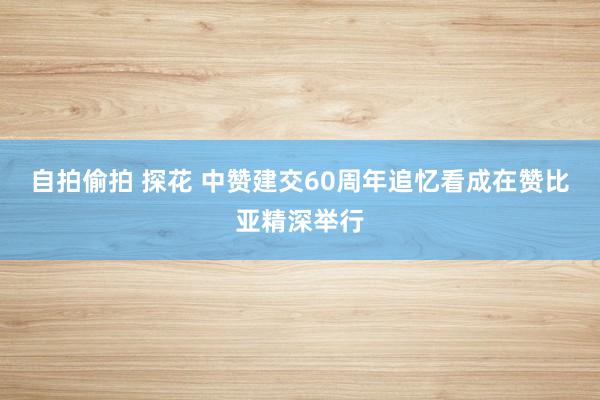 自拍偷拍 探花 中赞建交60周年追忆看成在赞比亚精深举行