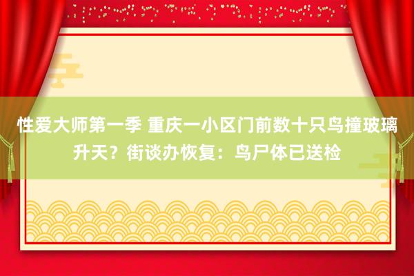 性爱大师第一季 重庆一小区门前数十只鸟撞玻璃升天？街谈办恢复：鸟尸体已送检