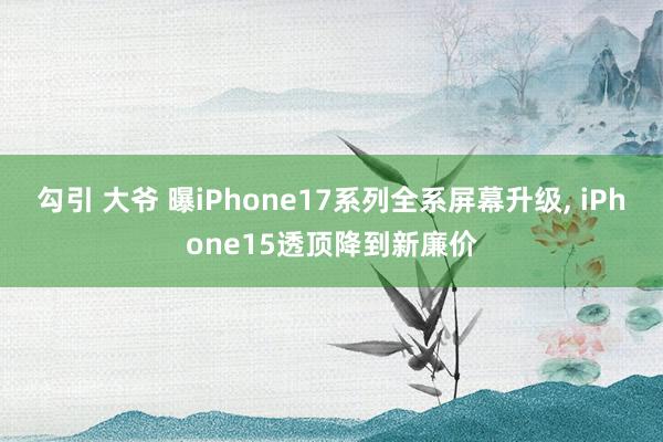 勾引 大爷 曝iPhone17系列全系屏幕升级， iPhone15透顶降到新廉价