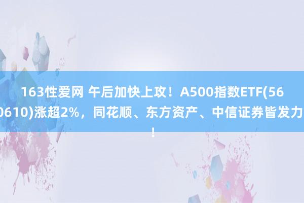 163性爱网 午后加快上攻！A500指数ETF(560610)涨超2%，同花顺、东方资产、中信证券皆发力！