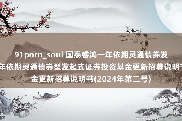 91porn_soul 国泰睿鸿一年依期灵通债券发起式: 国泰睿鸿一年依期灵通债券型发起式证券投资基金更新招募说明书(2024年第二号)