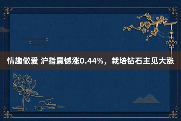 情趣做爱 沪指震憾涨0.44%，栽培钻石主见大涨