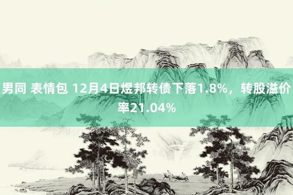 男同 表情包 12月4日煜邦转债下落1.8%，转股溢价率21.04%