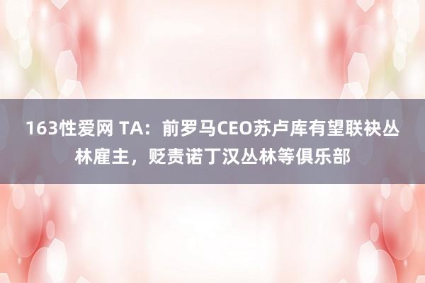 163性爱网 TA：前罗马CEO苏卢库有望联袂丛林雇主，贬责诺丁汉丛林等俱乐部