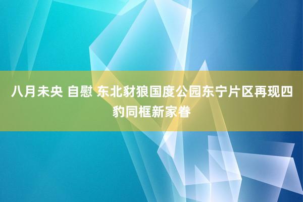 八月未央 自慰 东北豺狼国度公园东宁片区再现四豹同框新家眷