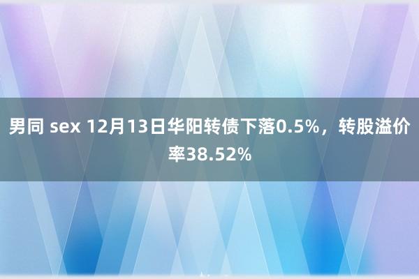 男同 sex 12月13日华阳转债下落0.5%，转股溢价率38.52%