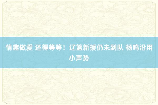 情趣做爱 还得等等！辽篮新援仍未到队 杨鸣沿用小声势