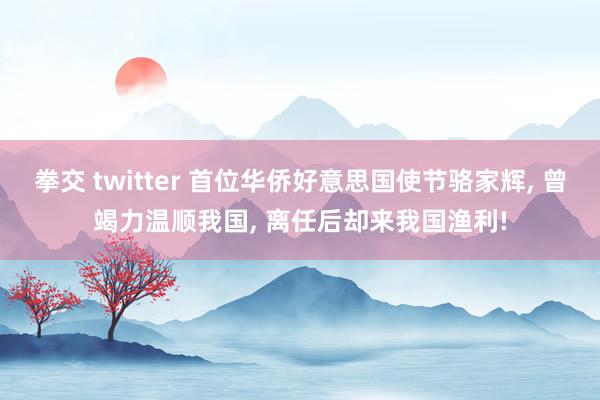 拳交 twitter 首位华侨好意思国使节骆家辉， 曾竭力温顺我国， 离任后却来我国渔利!