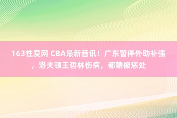 163性爱网 CBA最新音讯！广东暂停外助补强，洛夫顿王哲林伤病，都麟被惩处